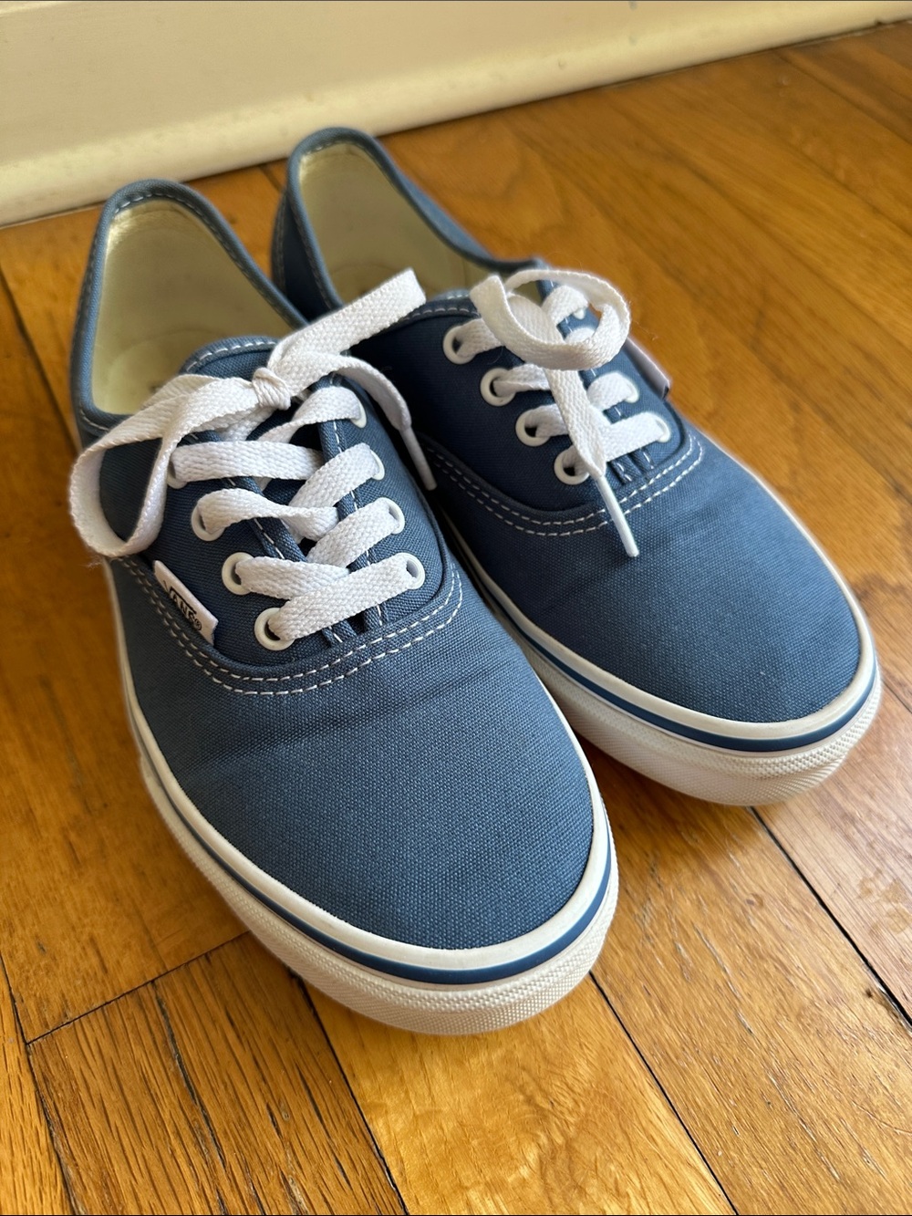 Vans Kids Authentic Canvas Sneaker